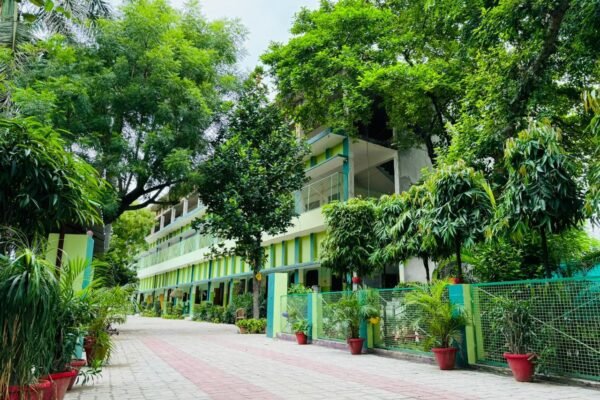 The planted pathway leading to the DAPS Raebareli school building