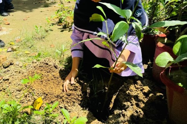 A student planting a sapling during the tree plantation drive at DAPS Raebareli